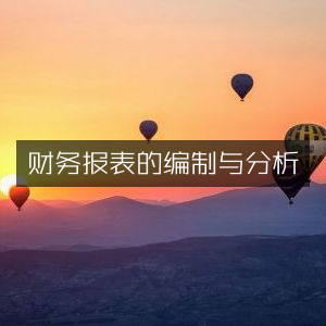财务报表编制与深度解析