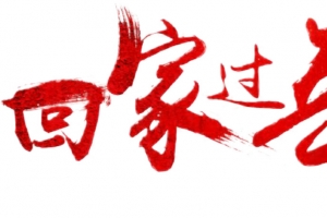 回家过年毛笔字啊