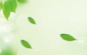 护肤品清新背景banner