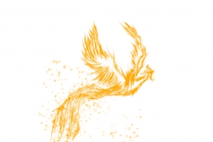 炫彩飞翔的凤凰