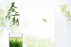 食品茶叶春季主图直通车春茶上市