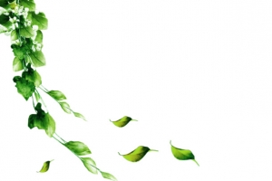 绿色清新树叶漂浮素材