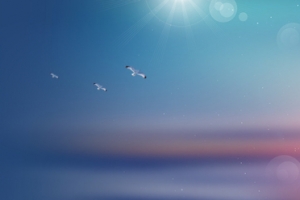 元旦大气蓝色海报 banner背景