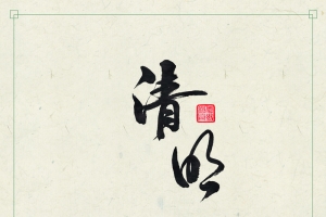 清明上山祭祖柳树青山