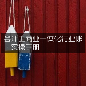 会计工商业一体化实战操作指南