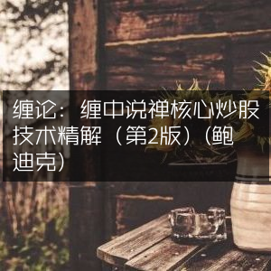 缠中说禅炒股精髓，缠论核心技术深度剖析（第二版）- 鲍迪克著