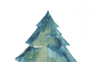 手绘松树