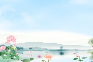 夏日粉嫩荷花背景