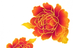 红色牡丹花手绘