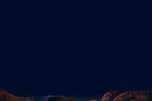 疯狂动物城角色大全 4K高清手机壁纸1767x3840免费下载