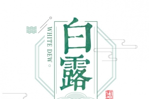白露秋天线框白鹭荷花
