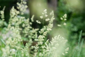 草 田野 植物 模糊 4k壁纸 3840x2160