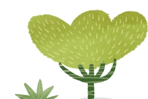 手绘小清新植物