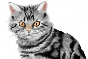 矢量小猫