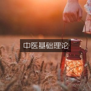 中医基础理论概览
