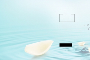 淘宝 店招 banner 背景