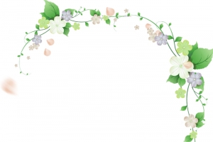 清新唯美花朵装饰背景