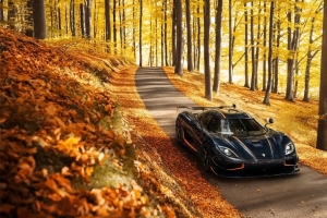 秋天道路风景 科尼赛克跑车Agera 黑色超级跑车壁纸