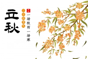 立秋节气秋天秋季