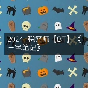 2024年税务师考试【BT】《三色笔记》精华版