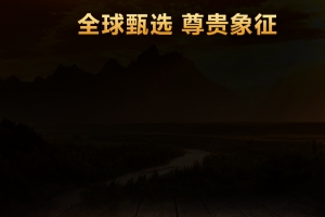 红酒直通车木板主图