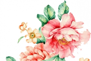 手绘花朵