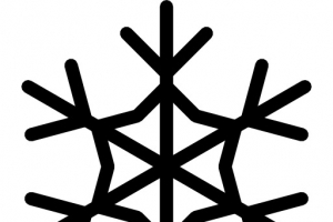 圣诞雪花图标