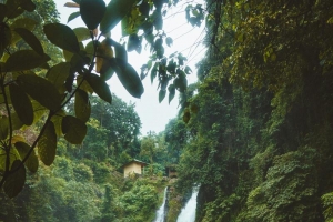 丛林间的高山流水