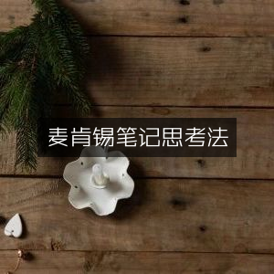 麦肯锡笔记思考法，个人能力提升必备书籍