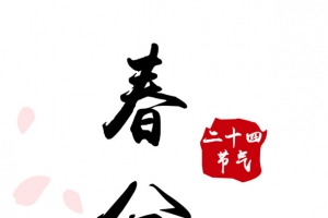 春分二十四节气花瓣元素