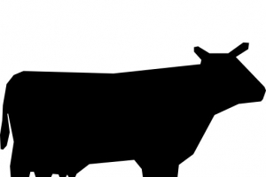 牛的轮廓图标