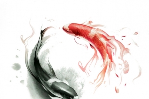 中国风金鱼