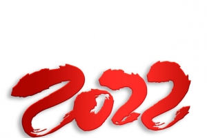 大气红色2022  虎年
