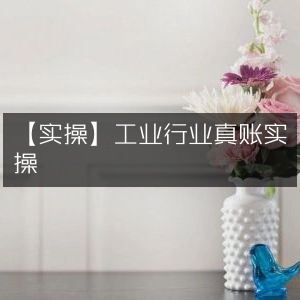 【实战演练】工业领域真账实操训练