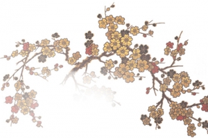 古风水墨梅花国画梅花