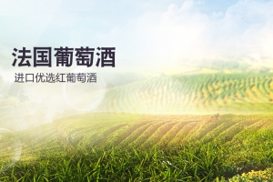 葡萄酒庄园风景PSD分层主图背景
