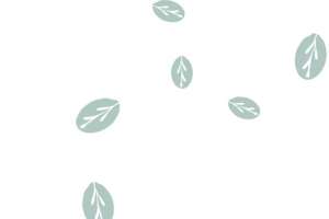 卡通树叶漂浮