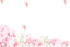 花瓣