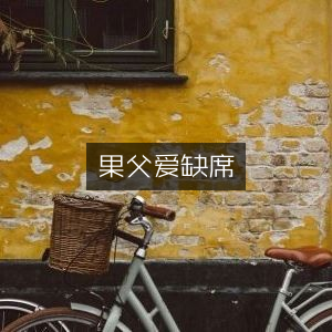 果父缺席下的家庭生活书籍阅读指南