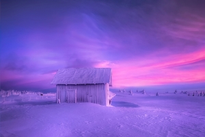 冬季,小屋,雪地,挪威风景图片
