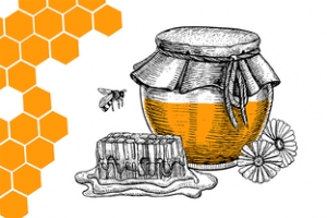天然蜂蜜卡通可爱banner