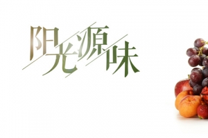 水果海报背景图