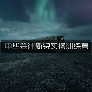 中华会计新锐实战技能提升训练营