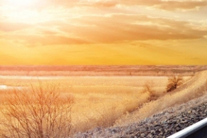 风景背景banner