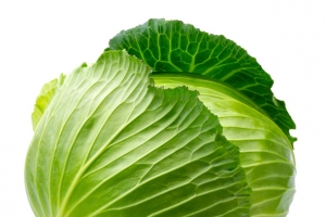 绿色大头菜素材