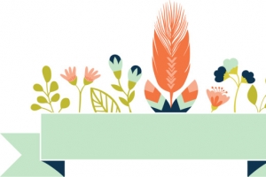 羽毛素雅小花小草banner