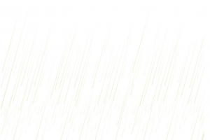 蒙蒙细雨