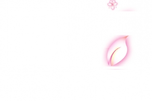 粉色手绘美丽树叶花朵招聘海报
