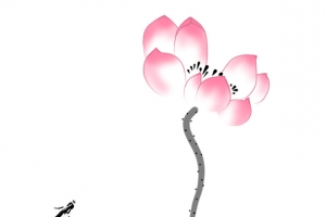 古风荷花