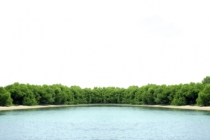 树林湖景